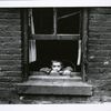 Tenement child, New York