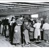 Child labor in Maryland oyster cannery