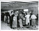 Child labor in Maryland oyster cannery