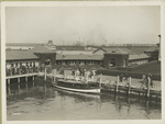 Buildings near Ellis Island pier; immigrants can be seen with trunks and luggage.