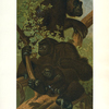 Gorilla.