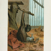 Chimpanzee.
