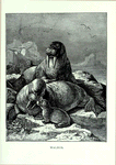 Walrus.