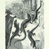 Elegant Ophiops.