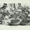 Cobra Di Capello.