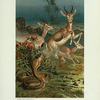 African Cobra, or Haje, and Gazelles.