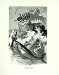 Sword Fish.