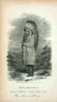 Frontispiece Petalesharoo, Son of Latelesha, Knife Chief of  the Pani-Loups: in full dress.