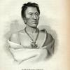 Ongpatonga (Big Elk) Chief of the Omawhaws.