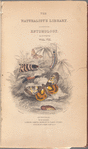 The naturalist's library. Entomology. Volume VII