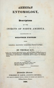 American entomology : or description of the insects of North America, illustrated by coloured figures from original drawings executed from nature