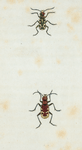 Title page.