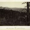 Snow and timber line, Laramie Mountains.