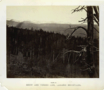 Snow and timber line, Laramie Mountains.