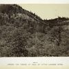 Among the timber at head of Little Laramie River.
