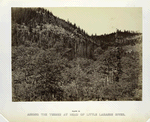 Among the timber at head of Little Laramie River.