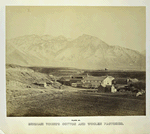 Brigham Young's cotton and woolen factories.