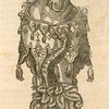 Print illustrating Du cheual.