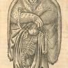 Print illustrating De l'ours.
