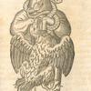 Print illustrating Du cerf.