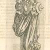 Print illustrating Du camaleon ou girafle.