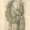 Print illustrating Du leopard.
