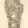 Print illustrating Du porc.