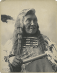 Louison, Flathead