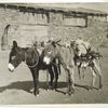 At the old stone farm of Lorenzo Hubbell, Ganado, Ariz., 1926.