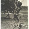 Navajo, model, at Ganado, Ariz., 1926.