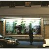 Triumph of love (musical), (Stock), Royale Theatre, 1997
