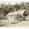 An abandoned farm house, Red Hill, N.H.