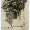 Old pump, Chew house, Germantown, Pa., prior Revolution.