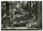 Bohemian Grove stage, California High Jinks.