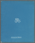 Callithamnion Borreri [loose plate]