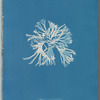 Rhodomenia sobolifera