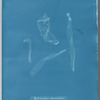 Hydrodictyon utriculatum