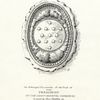 An enlarged fac-simile of the seal of the president of the Continental Congress as used by Thomas Mifflin in 1784.