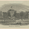 Bellevue Hospital