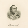 Count Pulaski