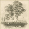 New York Battery Castle Garden Bay Narrows Staten Isld.