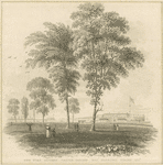 New York Battery Castle Garden Bay Narrows Staten Isld.