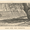 Ashley River, near Charleston
