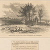 Burial-place of the Stark family, Manchester, New Hampshire.