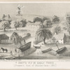 T. Smit's vly in early times (present foot of Maiden Lane - 1861)