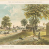 Harlem-Lane from Central Park to Manhattanville
