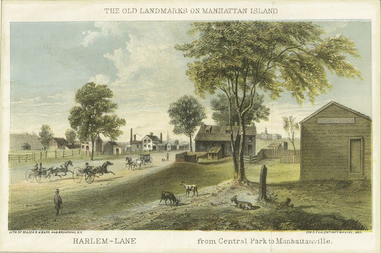 Harlem-Lane from Central Park to Manhattanville
, 1828