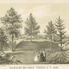 Remains of Fort Tryon N.Y. 1858