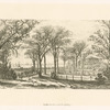 Castle Garden and the Battery