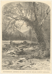 Picturesque America - On the French Broad, North Carolina